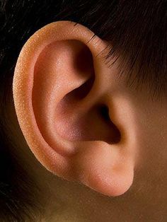 an ear is shown in close up view