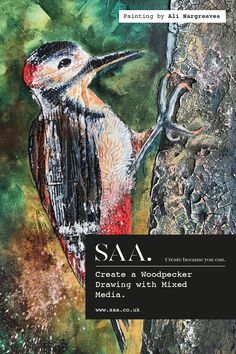 a painting of a bird on a tree with the words saa create a woodpecker drawing with mixed media