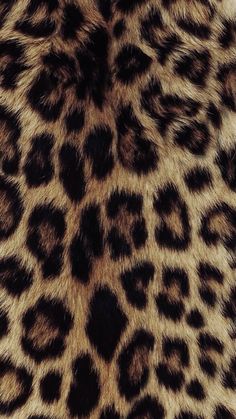 an animal print pattern is seen in this close up photo, it appears to be brown and black