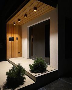 an entrance to a building with plants in the foreground and lights on above it