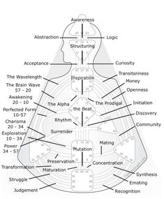 Human Design Lines, Human Design Channels, Manifesting Generator, Gene Keys, Body Chart, Human Design System, Human Design, Shadow Work