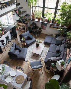 a living room filled with furniture and lots of plants on top of the tables in front of them