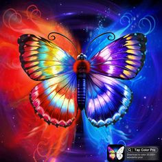 a colorful butterfly with swirls on it's wings