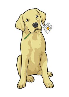 a yellow labrador retriever puppy with a daisy in it's mouth sitting down