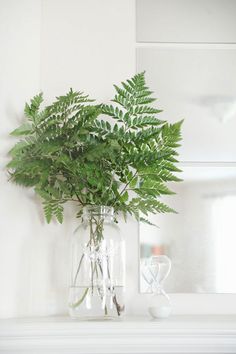 a plant in a glass vase sitting on top of a mantle