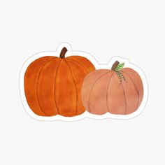 two pumpkins sticker on a white background with one orange and the other pink