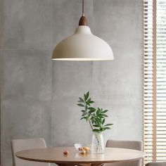 a dining room table with chairs and a potted plant on the table next to it