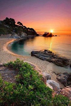 the sun is setting over an ocean with rocks and plants