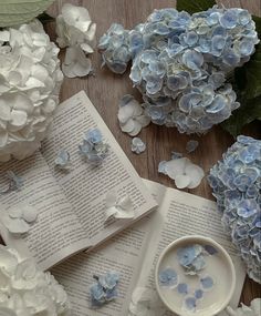 blue and white hydrangeas are scattered around an open book