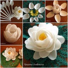 there are many different types of paper flowers