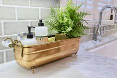 a bathtub with soap, lotion and plants in it sitting on a counter