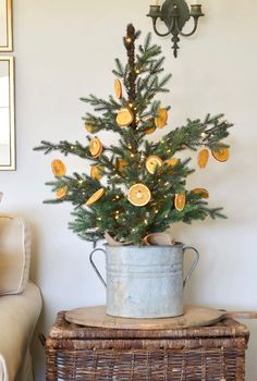 a potted christmas tree sitting on top of a wicker basket