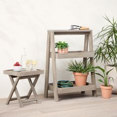 two potted plants sit next to each other in front of a white wall and wooden table