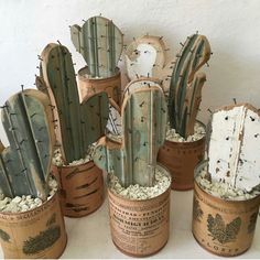 there are many cactus plants in the pots