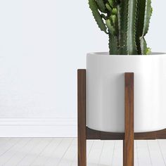 a potted plant sitting on top of a wooden stand