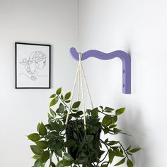 a potted plant hanging from the side of a wall next to a purple hook