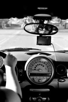 two people in a car with their hands on the steering wheel and one person driving