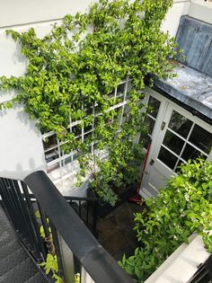 an overhead view of a house with plants growing on it