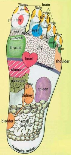 A chart of the human foot and how reflexology points relate to the body’s organs. Reflexology of the Foot and the Organs - Waking Times. Reflexology Foot Chart, Reflexology Chart, Hip Flexor Stretch, Reflexology Massage, Foot Reflexology, Young Living Oils, Trening Abs, Foot Massage, Reflexology