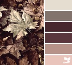 an image of leaves and flowers in the fall color palettes for autumn or winter