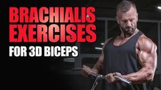 8 Intense Brachialis Exercises To Build Stronger Biceps 1