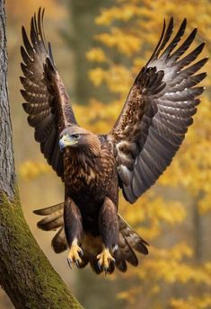 an eagle is perched on a tree branch with it's wings spread wide open