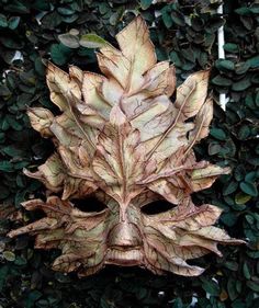 Leaf Mask, Christmas All Year, Tree Man, Ceramic Mask, Cute Nature, Afrikaanse Kunst, Mask Masquerade, Venetian Masks