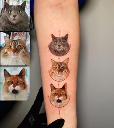 a cat's face is shown on the right arm and behind it are four pictures of cats