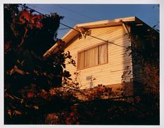 a small house with a window on the roof and some bushes in front of it