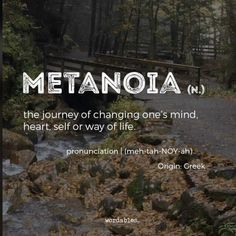 a bridge over a stream with the words metanoia n 1 in front of it