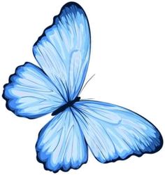 a blue butterfly flying in the air