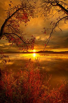 the sun is setting over a lake with trees in front of it and water below