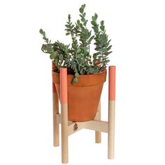 a potted plant sitting on top of a wooden stand next to two orange poles