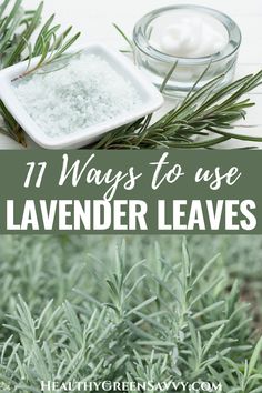 lavender leaves with text overlay that reads 11 ways to use lavender leaves