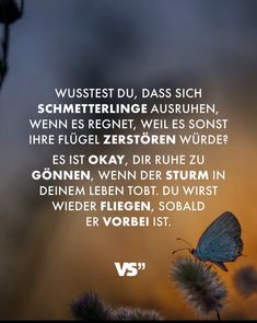 a blue butterfly sitting on top of a flower next to a quote from the german language