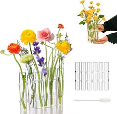 several vases with flowers in them and one holding the stems for each flower arrangement