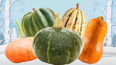 11 Winter Squash To Get Acquainted With At The Grocery Store - Chowhound