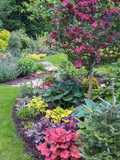 a garden filled with lots of colorful flowers