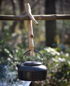 a tea kettle hanging from a tree branch