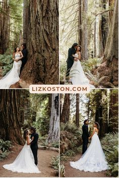 the bride and groom are posing in front of a giant redwood tree at their wedding