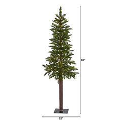 a tall pine tree with lights on it's base and measurements for the height