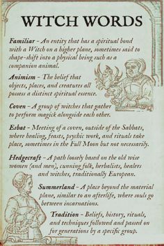 To be a Witch is to be an eternal seeker, a student of nature and of the spirit world. Witches are constantly expanding their knowledge and their vocabulary, and new words associated with witches appear all the time. Do you know what all these witchy terms mean? Here’s a list of witch-related words for you... #wiccan #witchcraft #astrology #zodiac Witchcraft Alphabet, Wiccan For Beginners, Intermediate Witchcraft, History Of Witchcraft Book Of Shadows, Books On Witchcraft, Witchcraft Spells For Beginners Witches, Witchcraft Rules, Types Of Magick Witchcraft, Different Kinds Of Witches