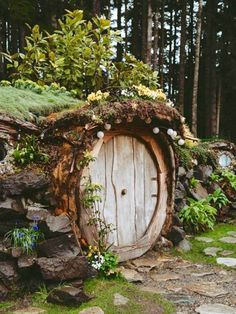 there is a wooden door in the middle of some rocks and grass with plants growing out of it