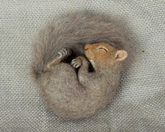 a baby sloth curled up in the middle of it's nest on top of a blanket