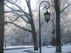 a lamp post in the middle of a snowy park