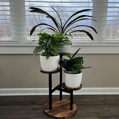 three potted plants sitting on top of a wooden stand