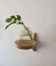 a potted plant sitting on top of a wooden shelf next to a white wall