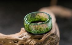 a green ring sitting on top of a piece of wood with grass growing in it