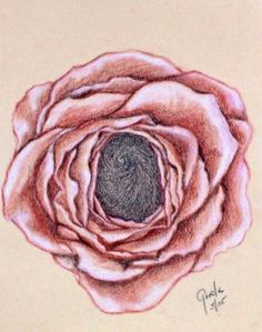 a drawing of a pink rose with green center