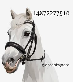 a white horse wearing a bridle with the words decals by grace on it